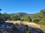 Pioneer Real Estate - Texas Hill Country Riverfront and River Access Properties