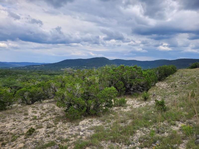 Pioneer Real Estate - Texas Hill Country