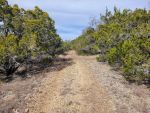 Pioneer Real Estate - Texas Hill Country Riverfront and River Access Properties