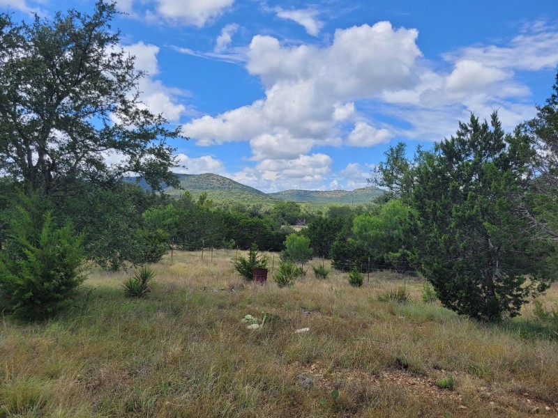 Pioneer Real Estate - Texas Hill Country