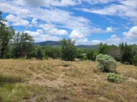 Hill Country Real Estate