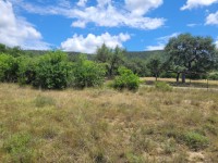 Hill Country Real Estate
