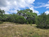 Hill Country Real Estate
