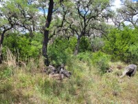 Hill Country Real Estate